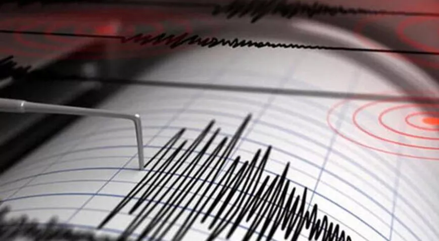 Erzurum'da 4,6 büyüklüğünde deprem!