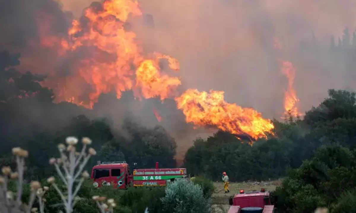 İzmir'de orman yangını, evlere yaklaştı! Evler ve sokaklar tahliye edildi