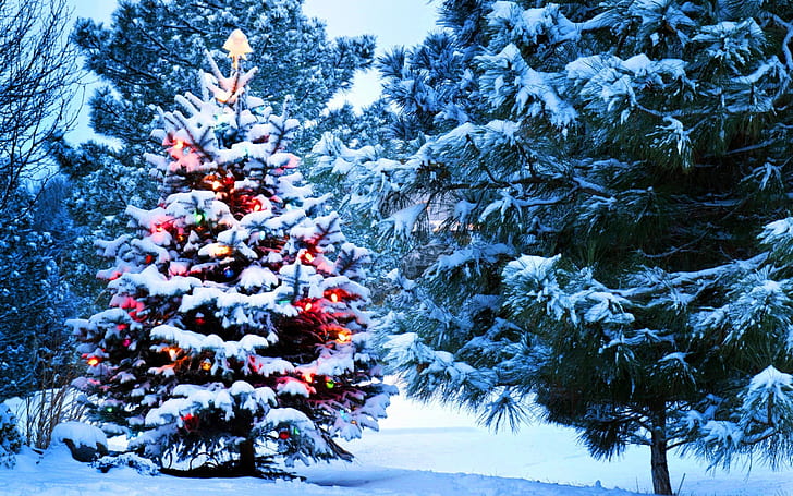 christmas-snow-new-year-tree-lights-wallpaper-preview.jpg